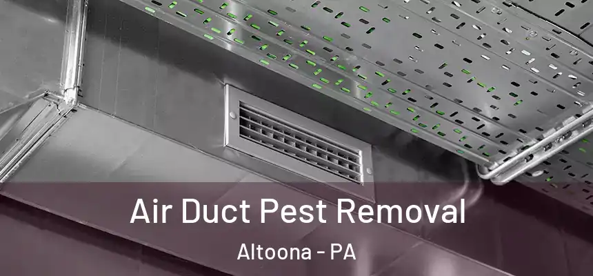  Air Duct Pest Removal Altoona - PA
