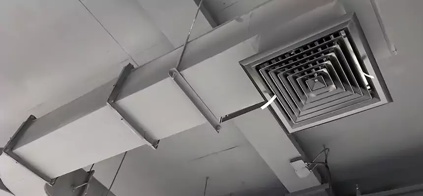 Restorative Allergy Relief Vent Cleaning – Coil, Blower & Housing Detail in Altoona