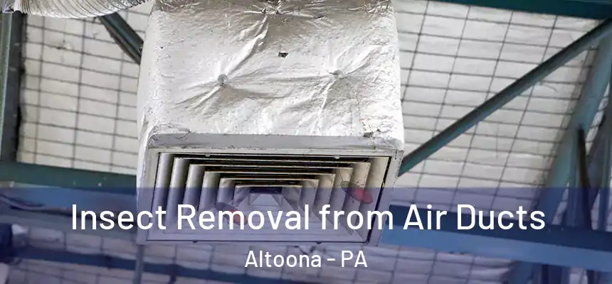  Insect Removal from Air Ducts Altoona - PA