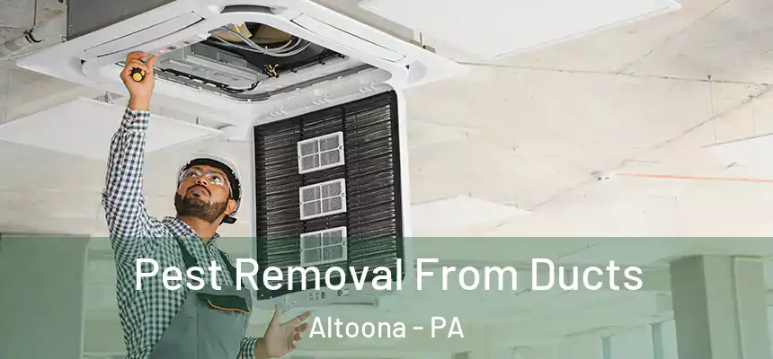  Pest Removal From Ducts Altoona - PA