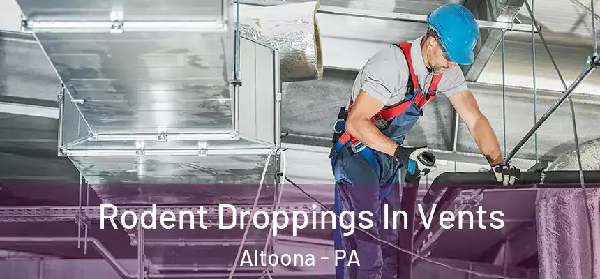  Rodent Droppings In Vents Altoona - PA