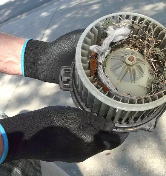 About Air Duct Mice Removal in Altoona, PA