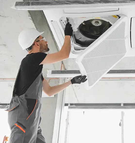 About Air Duct Rodent Removal in Altoona, PA